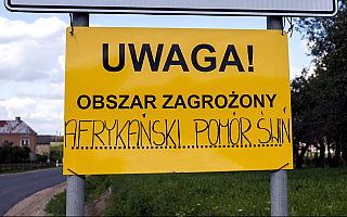 Gmina Gołdap została objęta żółtą strefą ochronną przeciw ASF